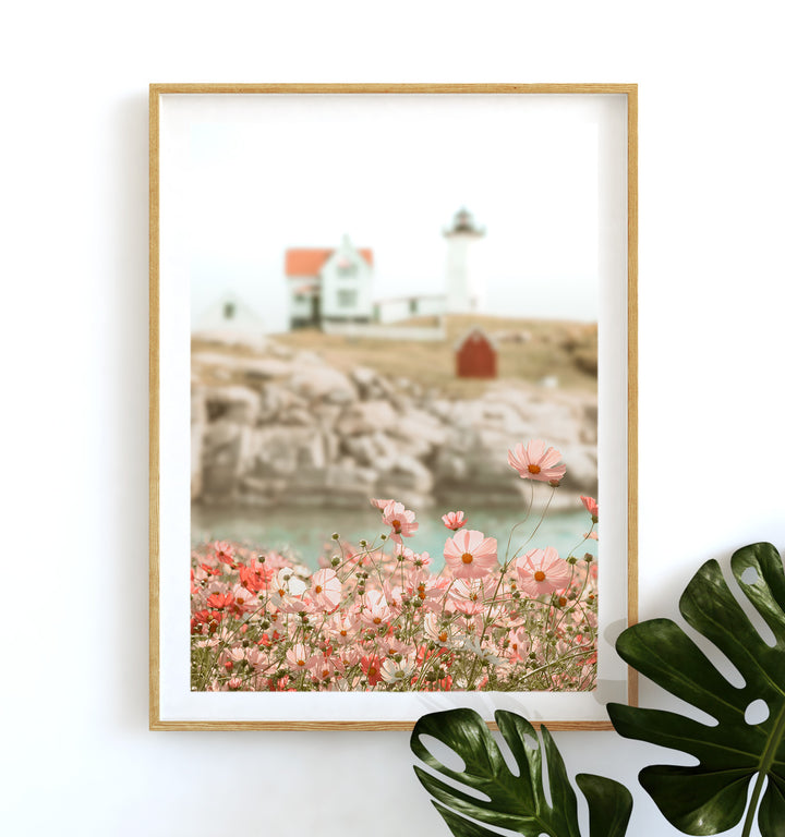 Lighthouse Wildflowers