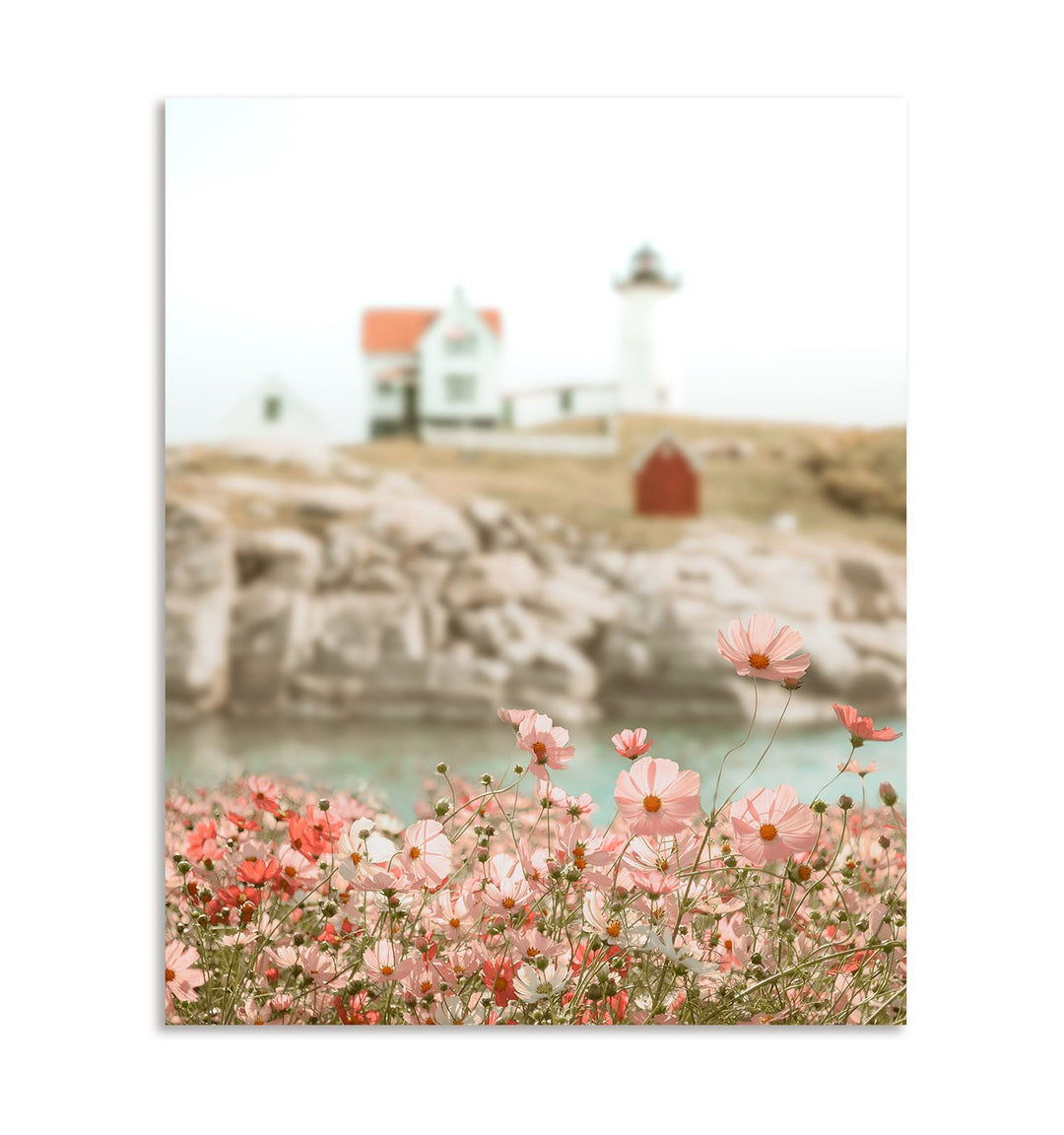 Lighthouse Wildflowers