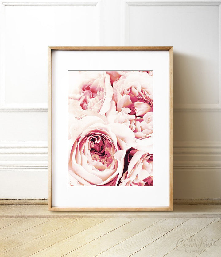 Peonies - The Crown Prints