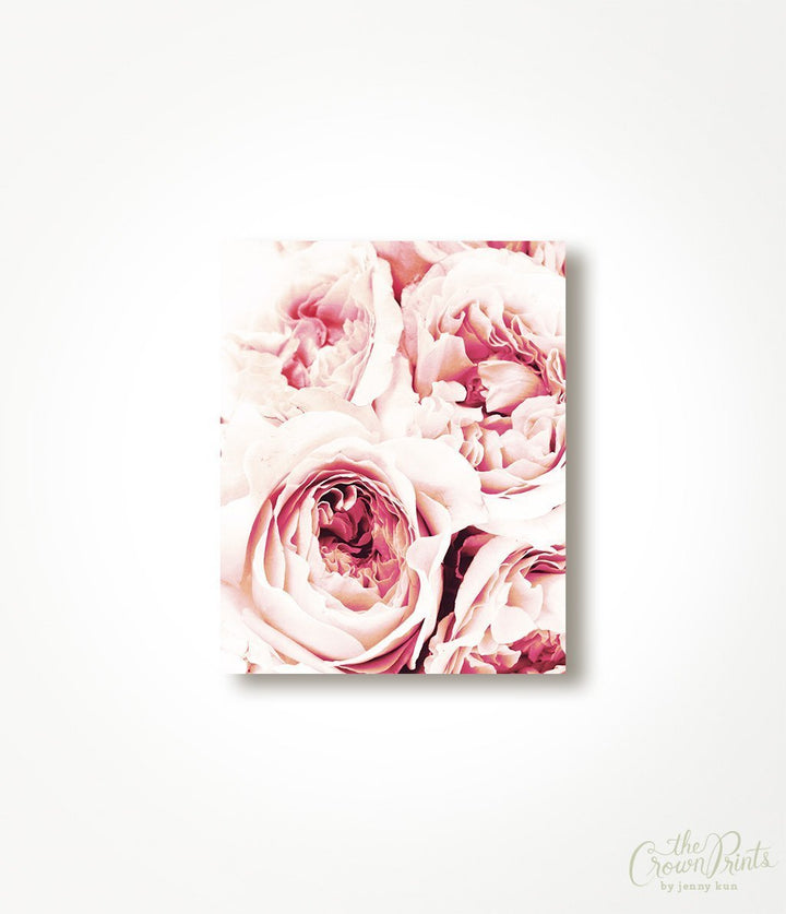 Peonies - The Crown Prints