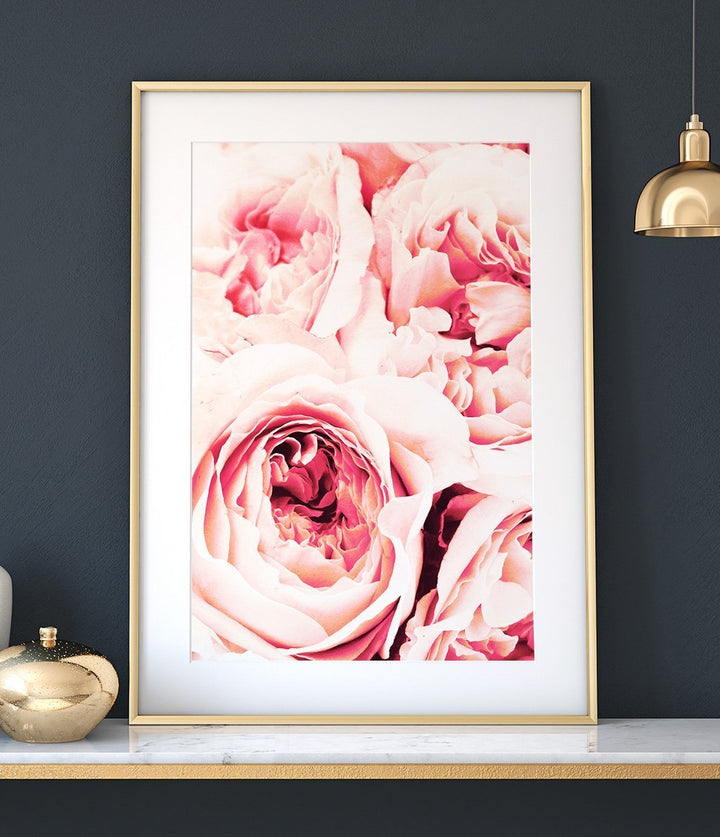 Peonies - The Crown Prints