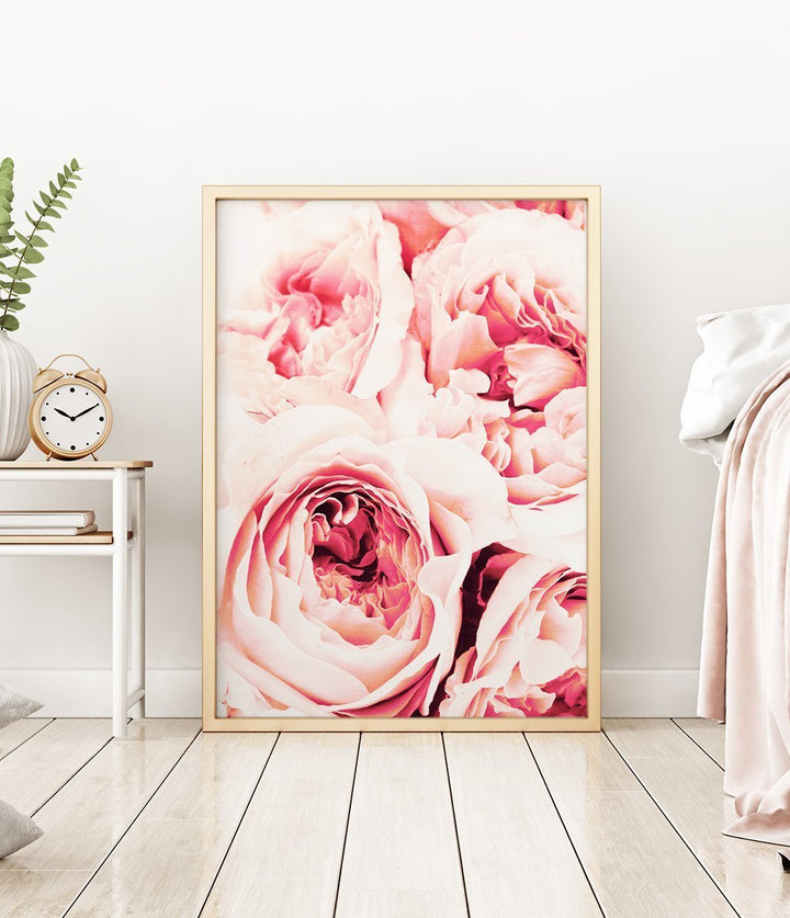 Peonies - The Crown Prints