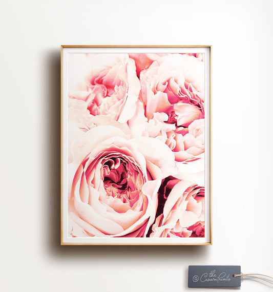 Peonies - The Crown Prints