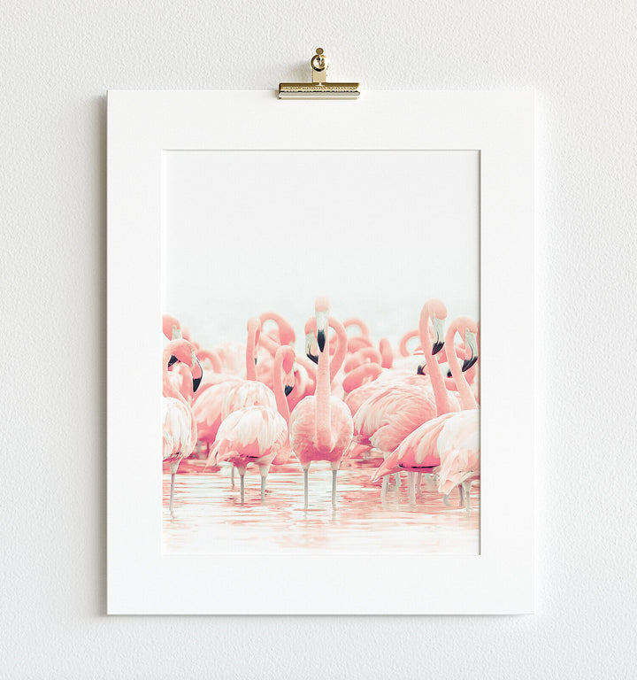 Pink Flamingos