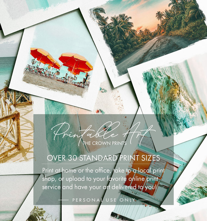Aerial Beach Print - The Crown Prints