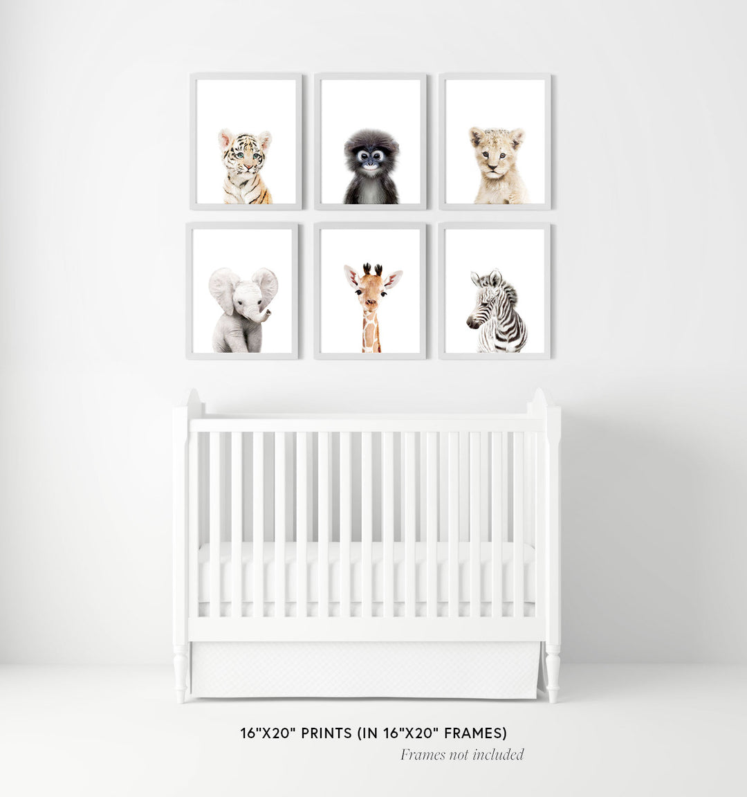 Baby Jungle & Safari Animals Set of 6 Nursery Decor Prints
