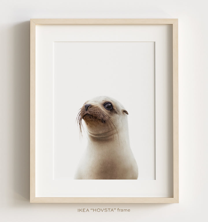 Sea Animals Set of 6 Nursery Decor Art Prints
