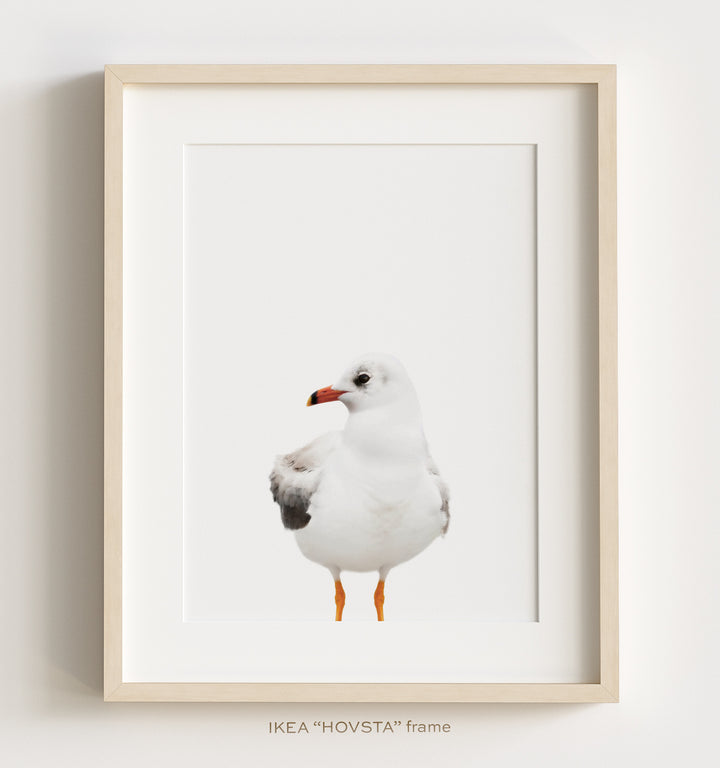 Sea Animals Set of 6 Nursery Decor Art Prints