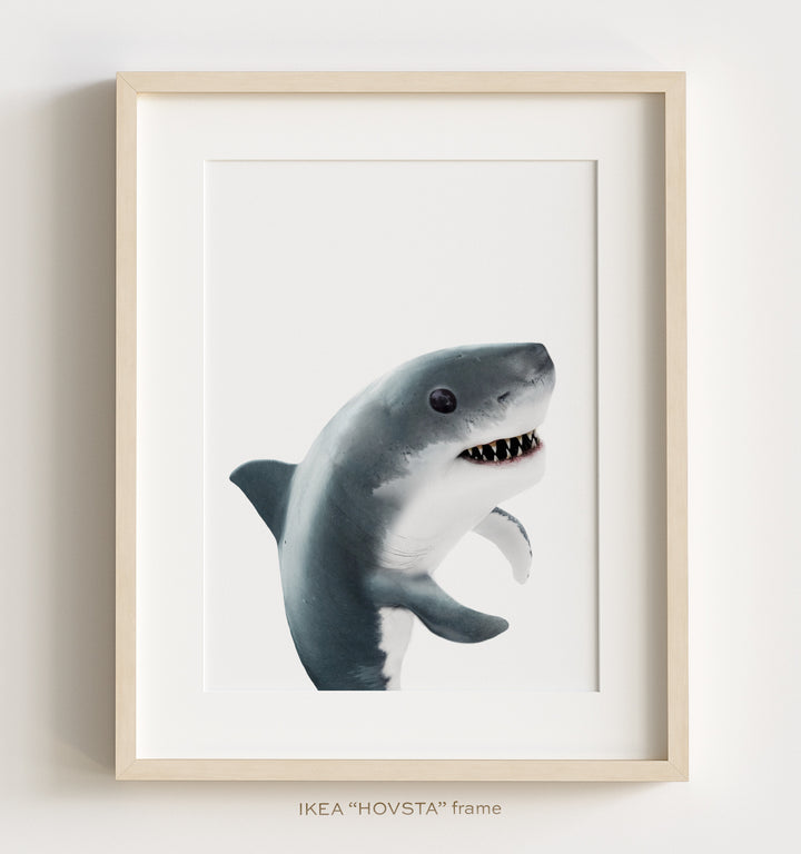 Sea Animals Set of 6 Nursery Decor Art Prints