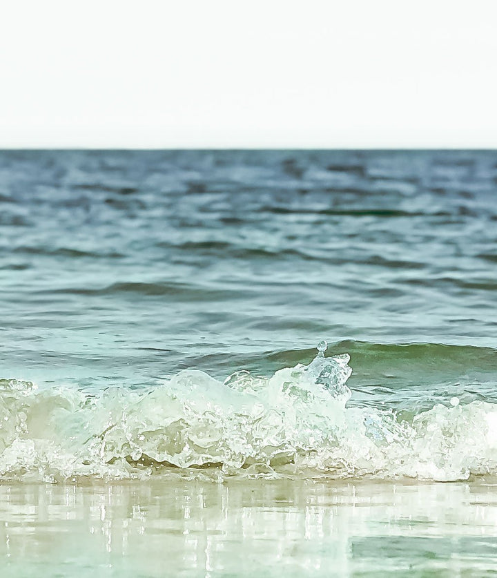 Crane Beach No. 1 - The Crown Prints