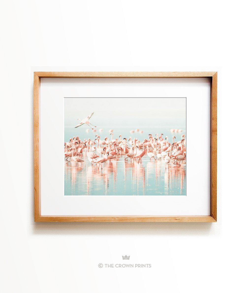 Flamingo flock - The Crown Prints