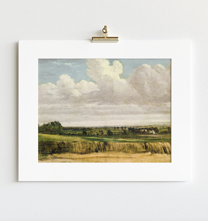 Summer Wheatfield