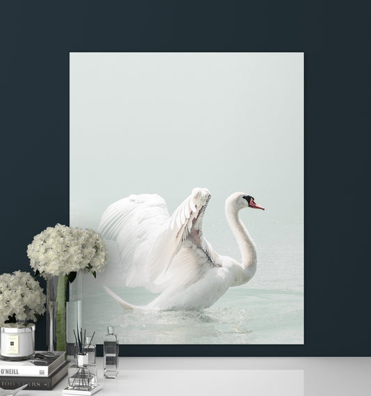Swan Print