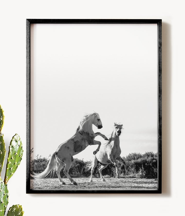 Two White Horses Print - The Crown Prints