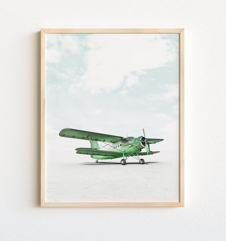 Antonov AN-2 Airplane