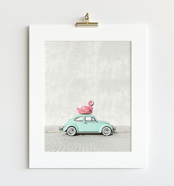 A Beetle And A Flamingo