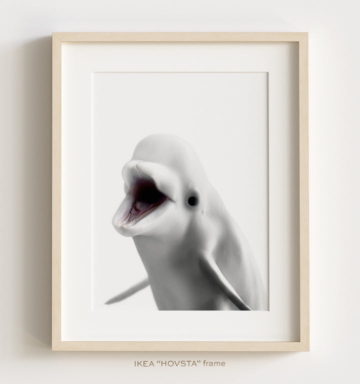 Sea Animals Set of 6 Nursery Decor Art Prints