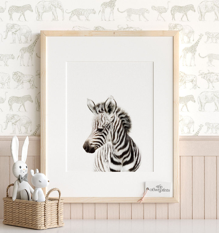 Baby zebra print - wall art for a safari nursery theme - display above a crib or changing table, from The Crown Prints