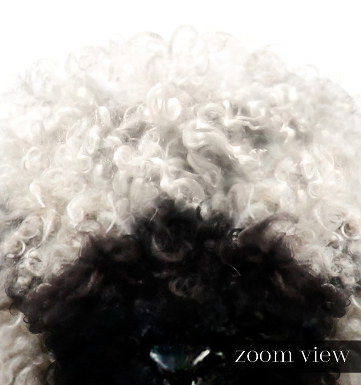 Baby Blacknose Sheep