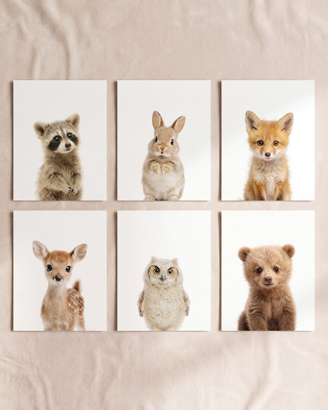 Forget Generic Nursery Decor. These Baby Animal Prints Are a Cut Above.