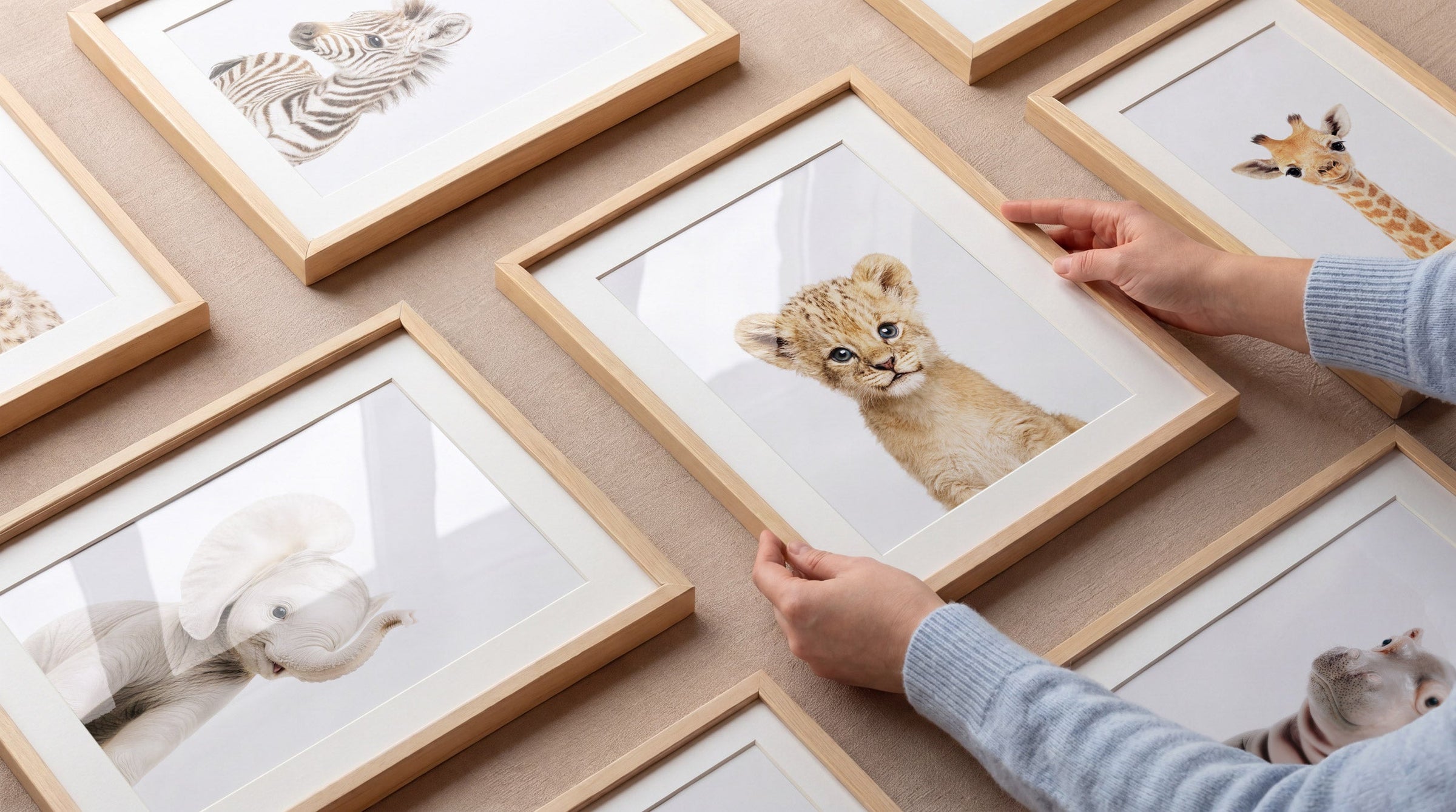 The Baby Animals Collection