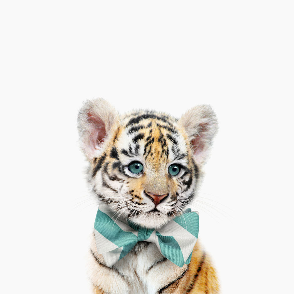 Animals with Bow Ties