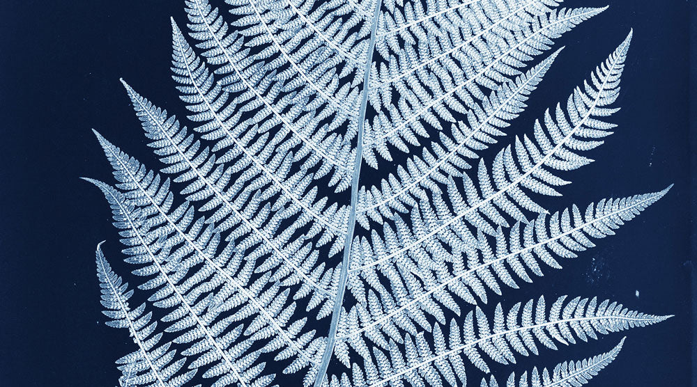 Mood Indigo