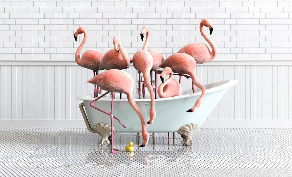 Animals in Unusual Situations