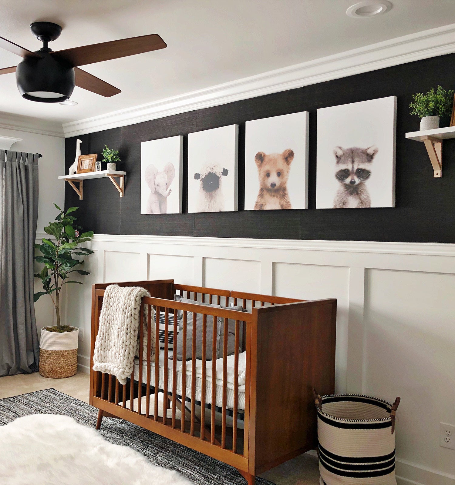 Zoo Animal Prints