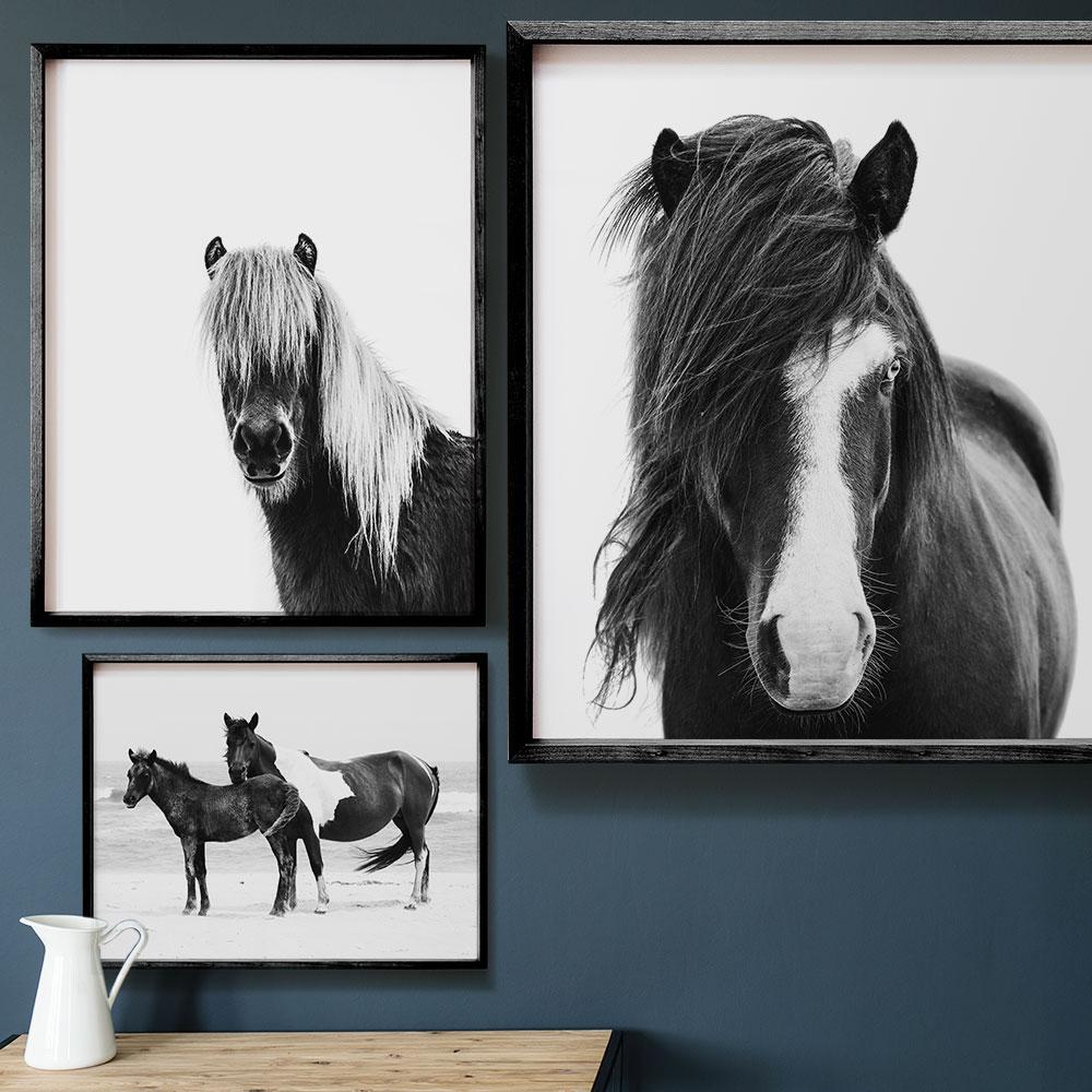 Black and White Horse Prints