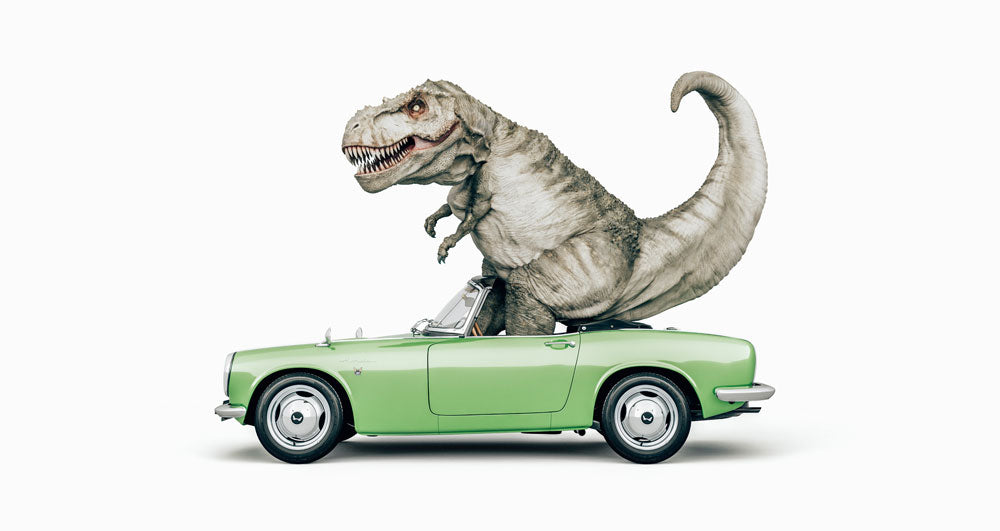 Dinosaur Wall Art