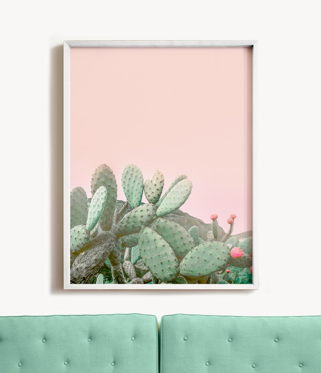 Cactus Prints