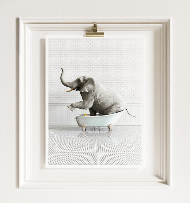 Elephant in Blue Bathtub