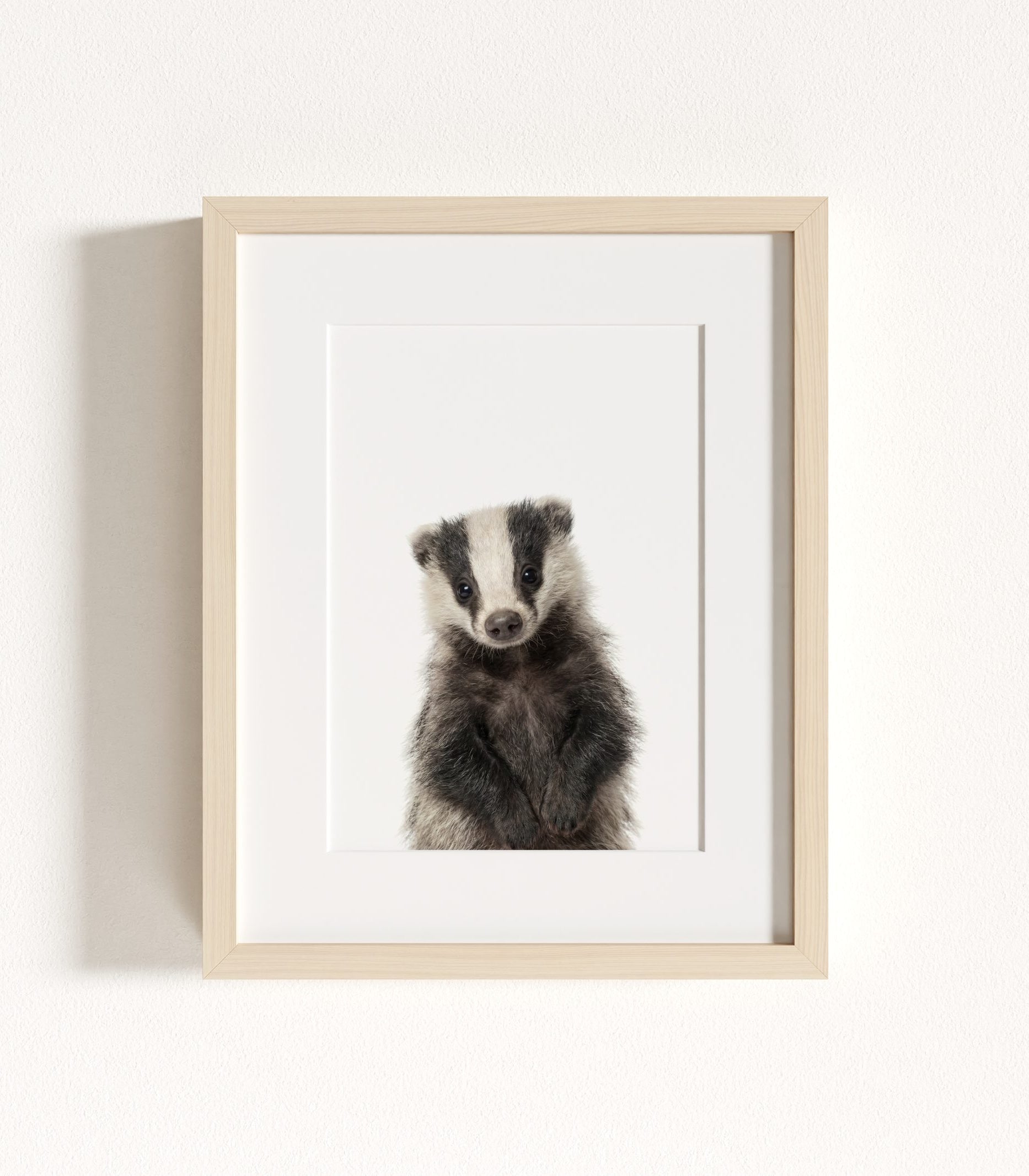 The Baby Animals 2026 Collection