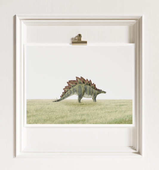 Stegosaurus Dinosaur