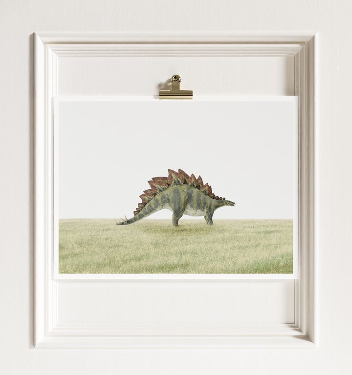 Stegosaurus Dinosaur