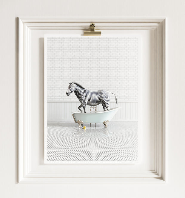 Zebra in Blue Bathtub