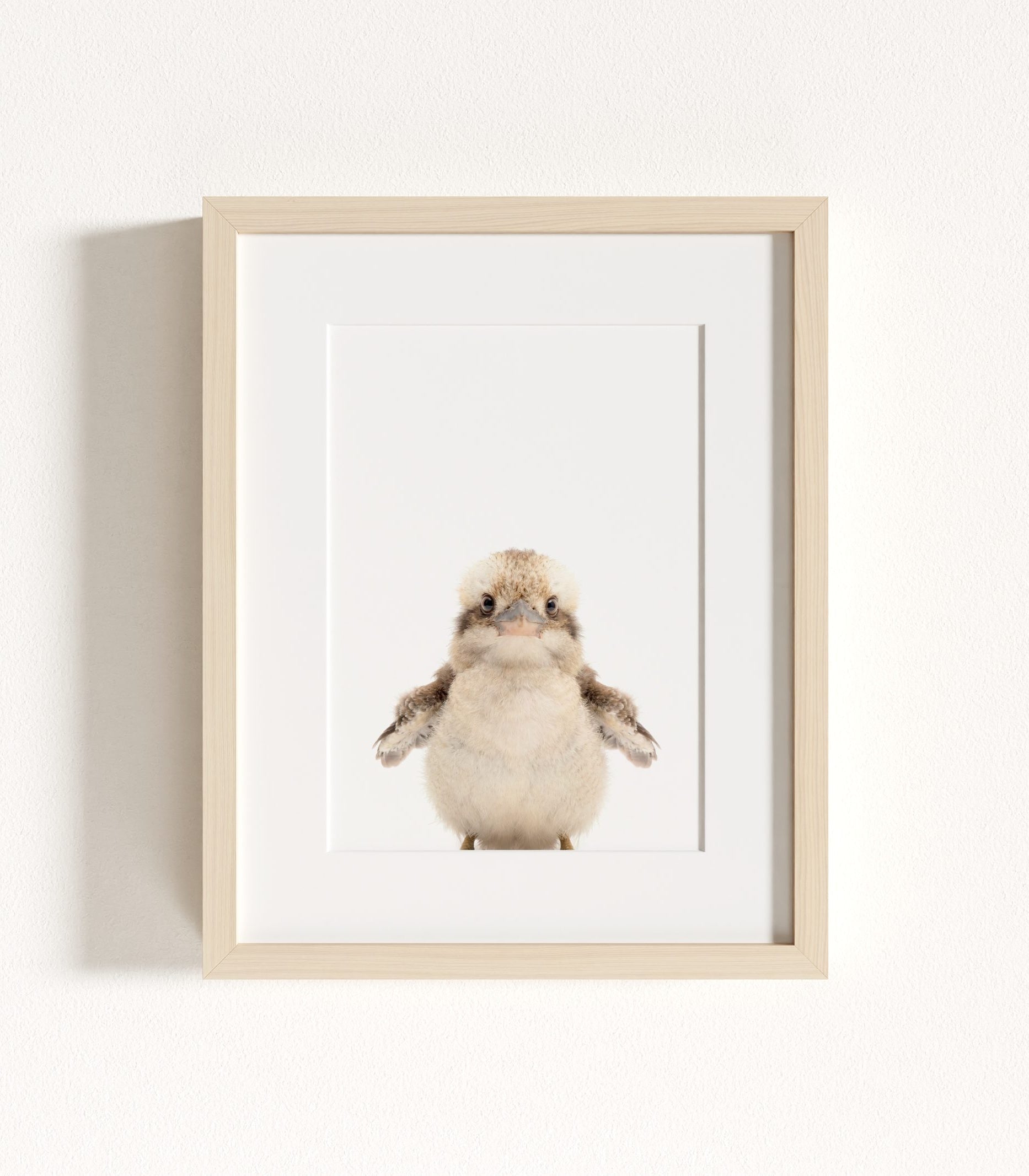 The Baby Animals 2026 Collection