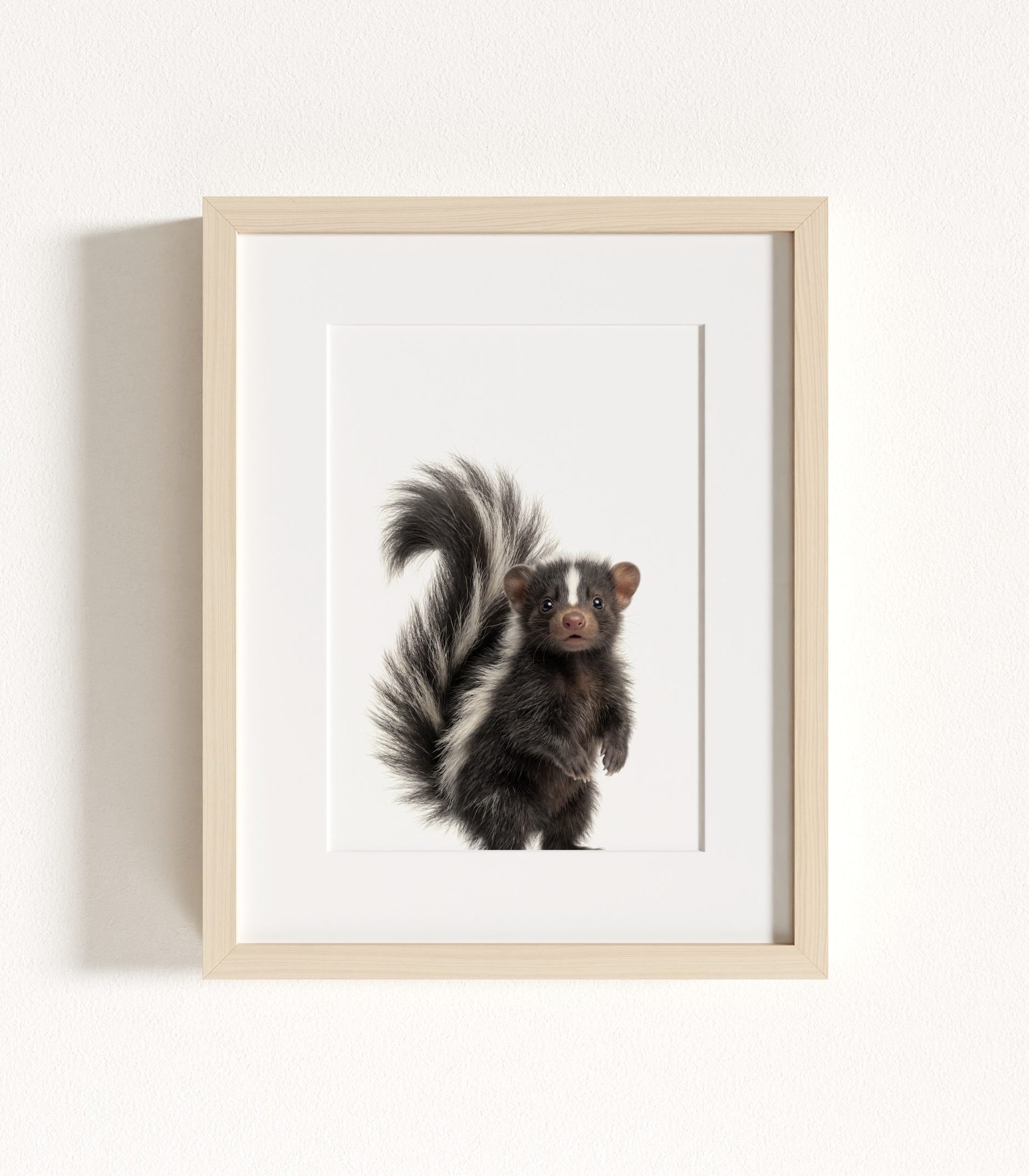 The Baby Animals 2026 Collection