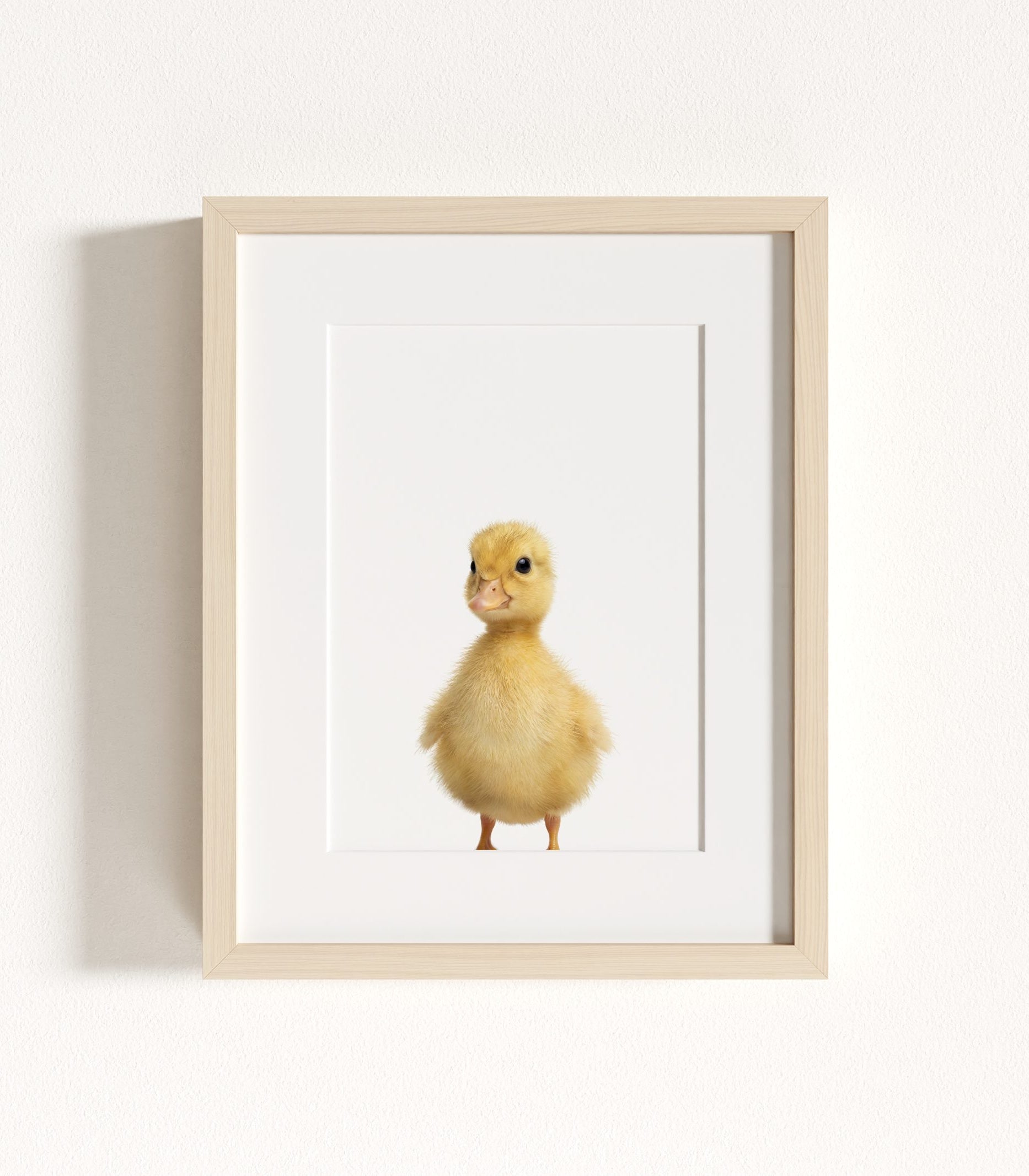 The Baby Animals 2026 Collection