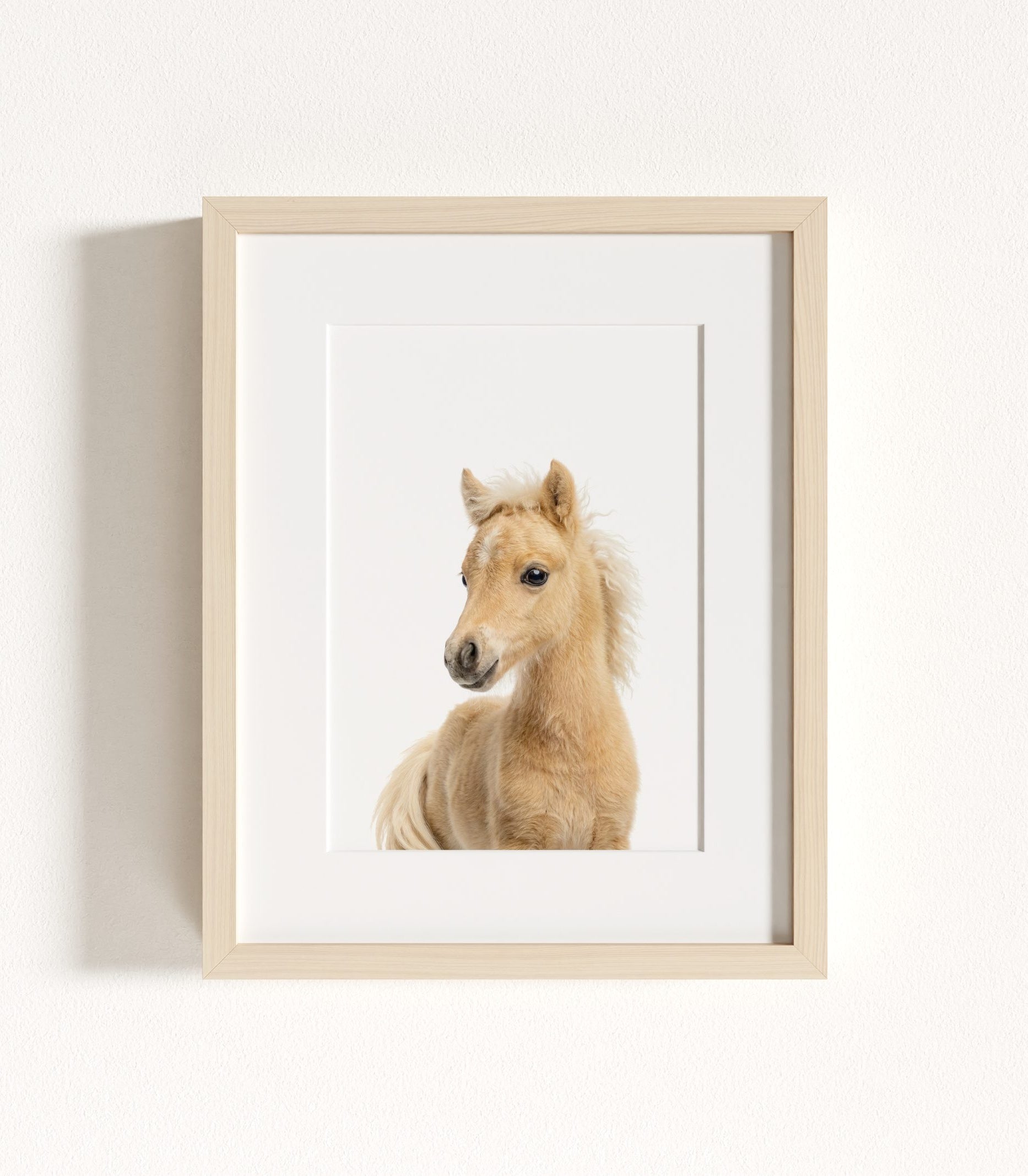 The Baby Animals 2026 Collection