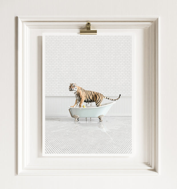 Tiger in Blue Bathtub