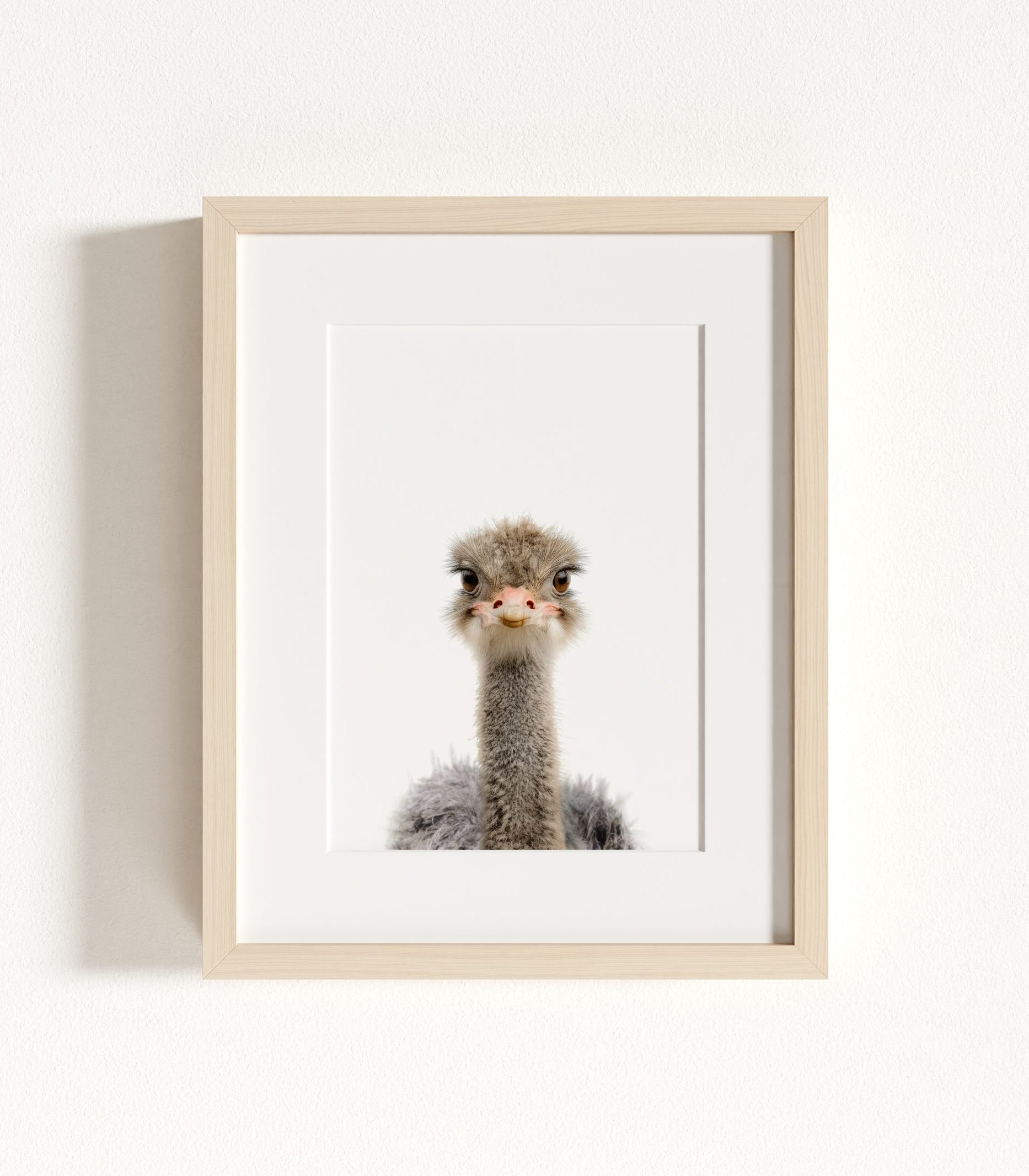 The Baby Animals 2026 Collection