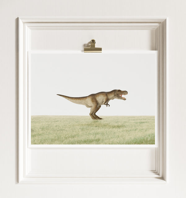 Tyrannosaurus Rex Dinosaur — Framed Art