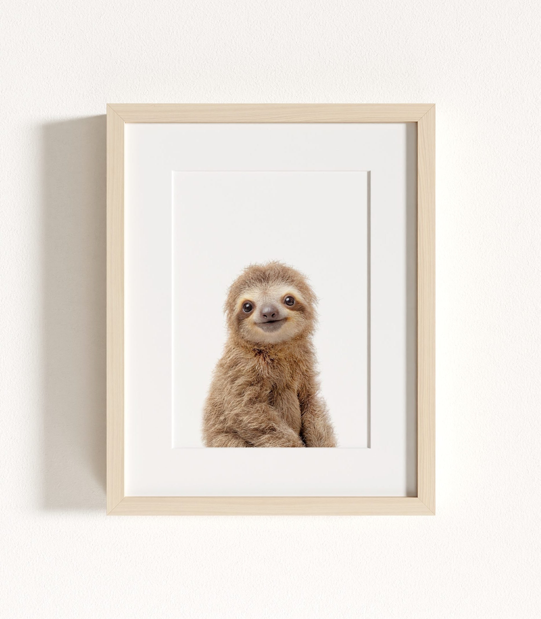 The Baby Animals 2026 Collection