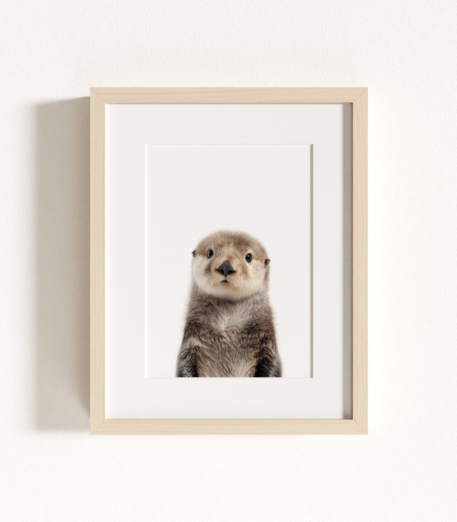 The Baby Animals 2026 Collection