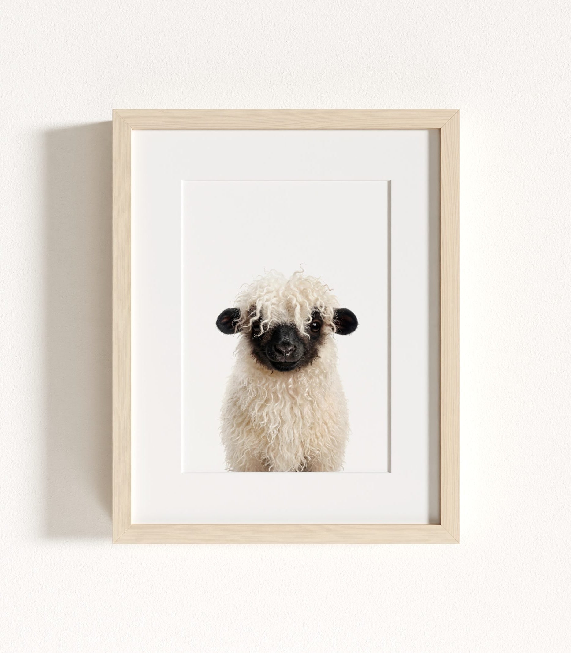 The Baby Animals 2026 Collection