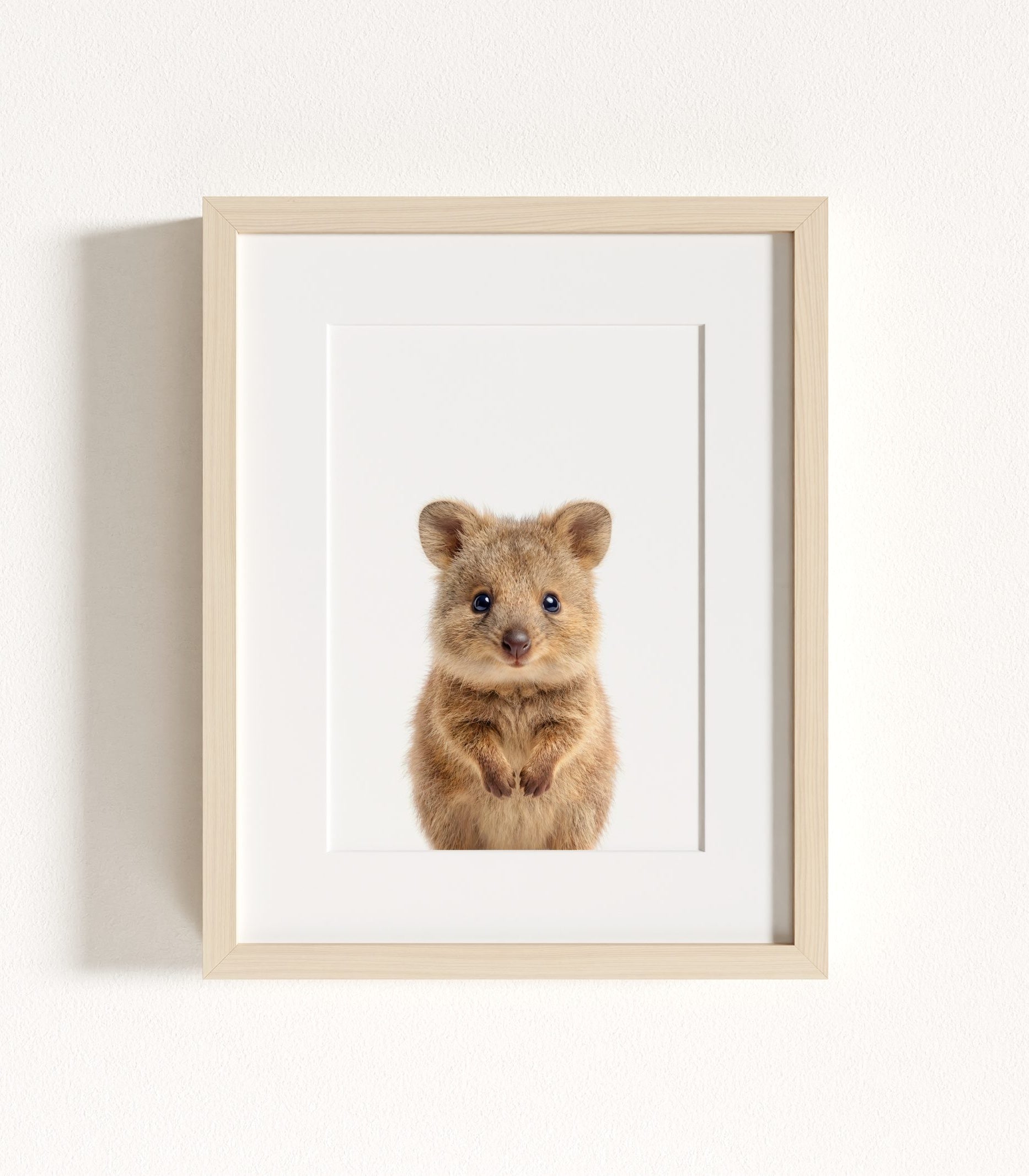 The Baby Animals 2026 Collection