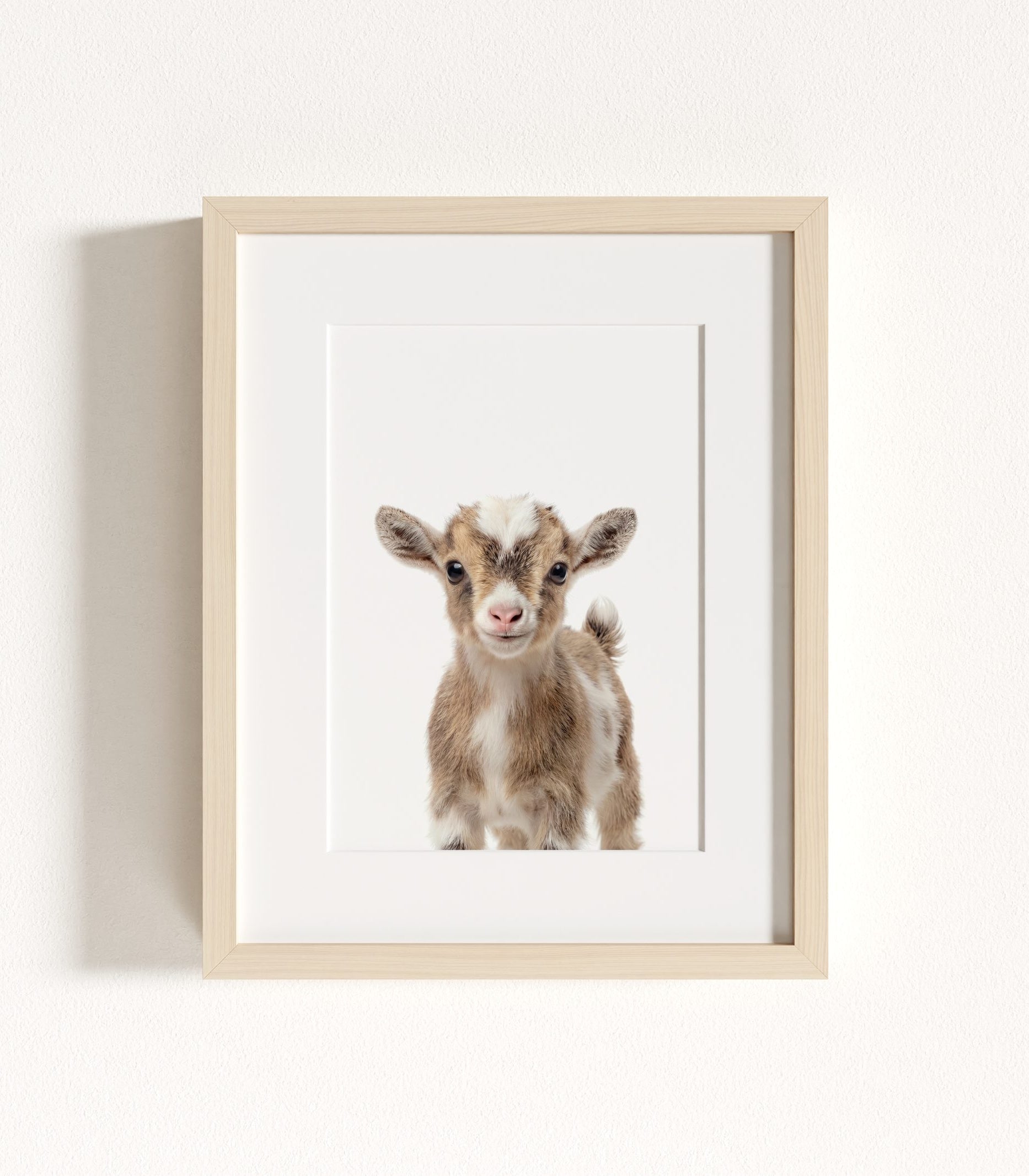 The Baby Animals 2026 Collection