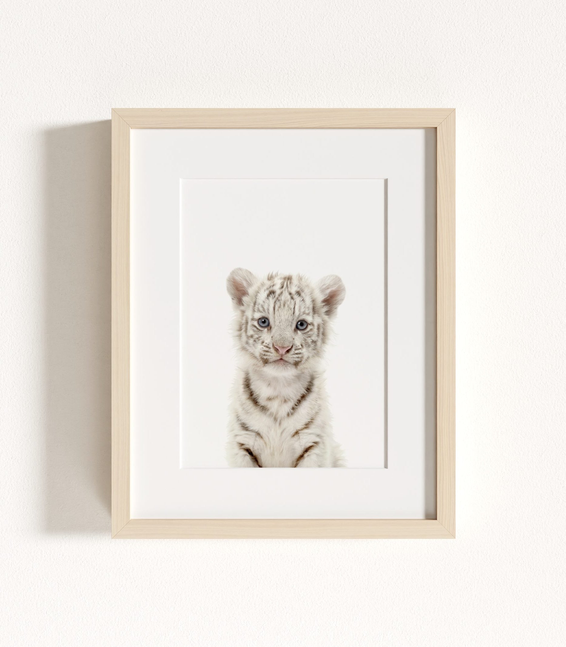 The Baby Animals 2026 Collection